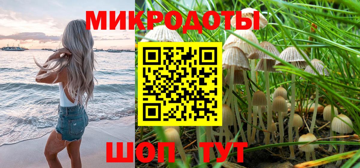 Галлюциногенные грибы Psilocybe Кинель