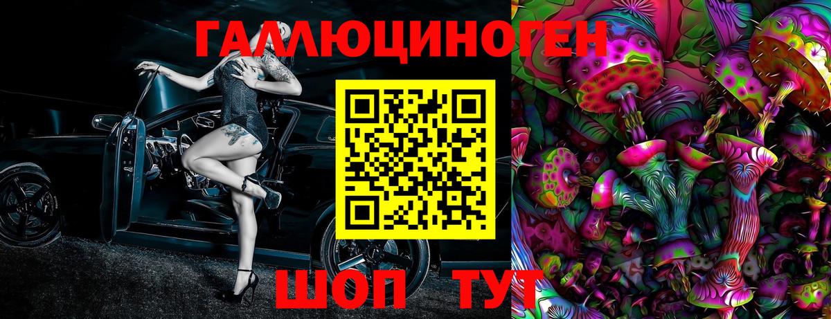 Кинель  Псилоцибиновые грибы Psilocybine cubensis  Вход с VPN 